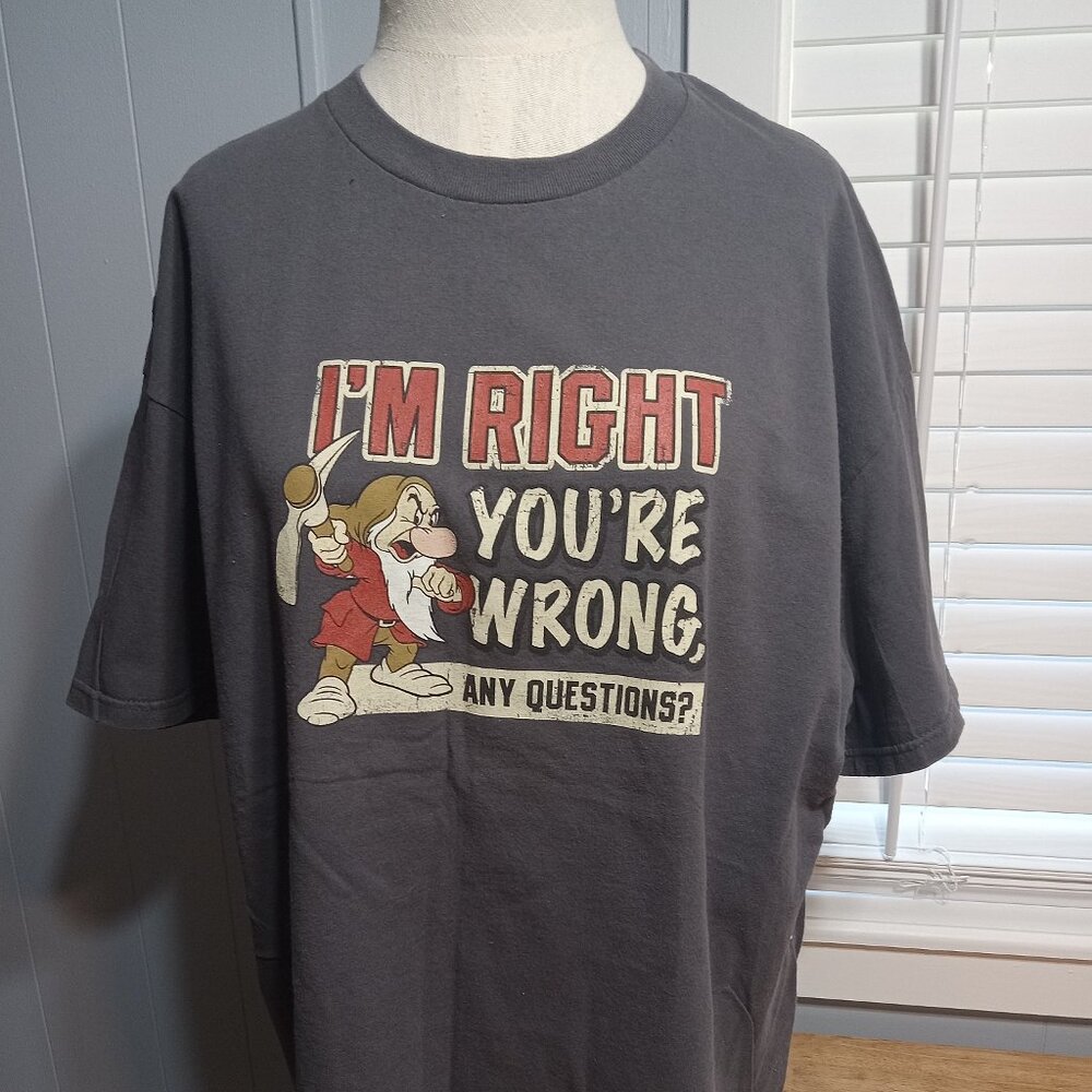Disney's Snow White & the Seven Dwarfs Grumpy Adult T size XL I'm Right You   T1